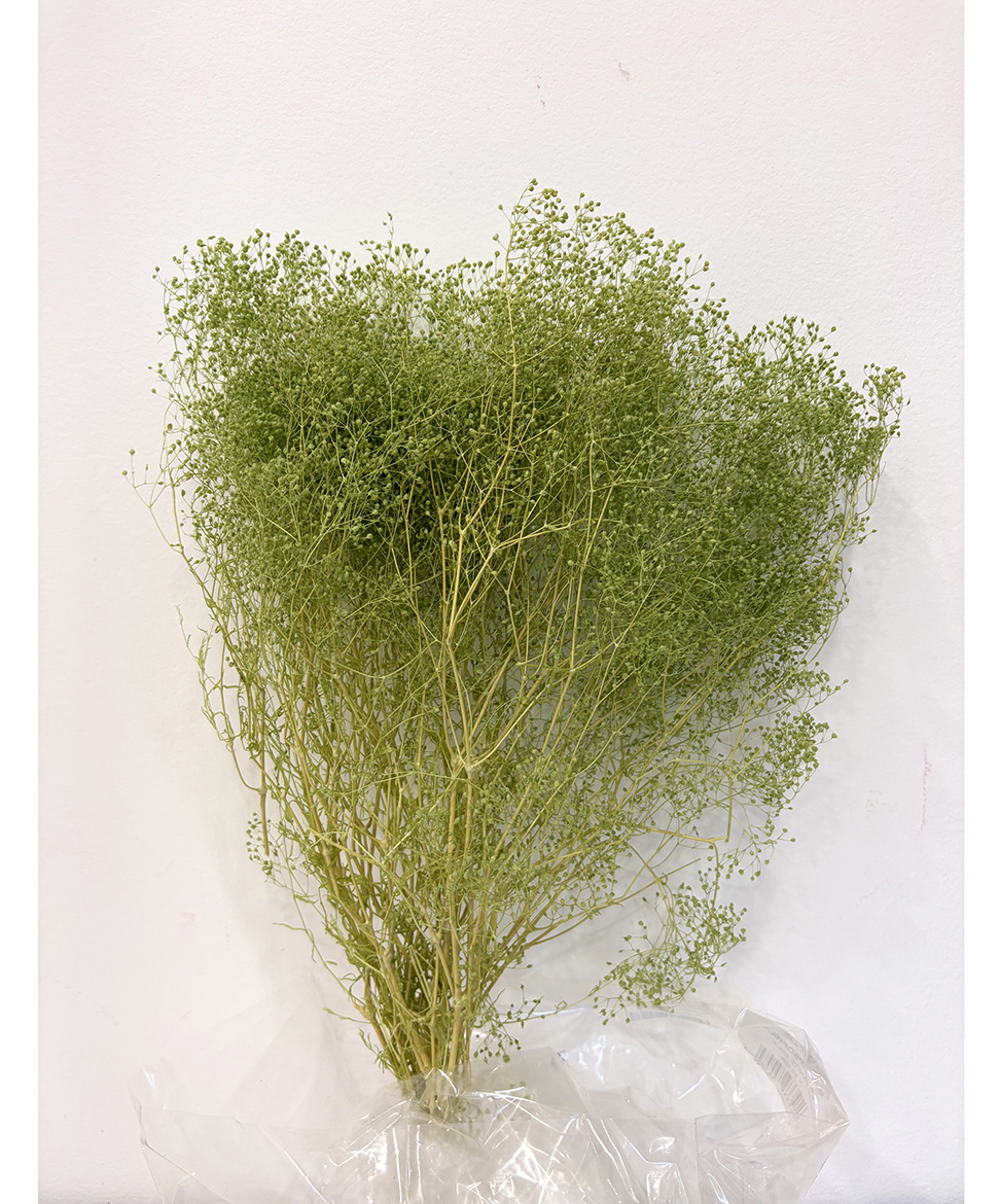MINI GYPSOPHILA 50GR. TITANITE