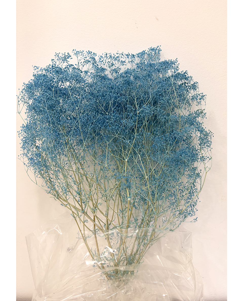 MINI GYPSOPHILA 50GR. BABY BLU