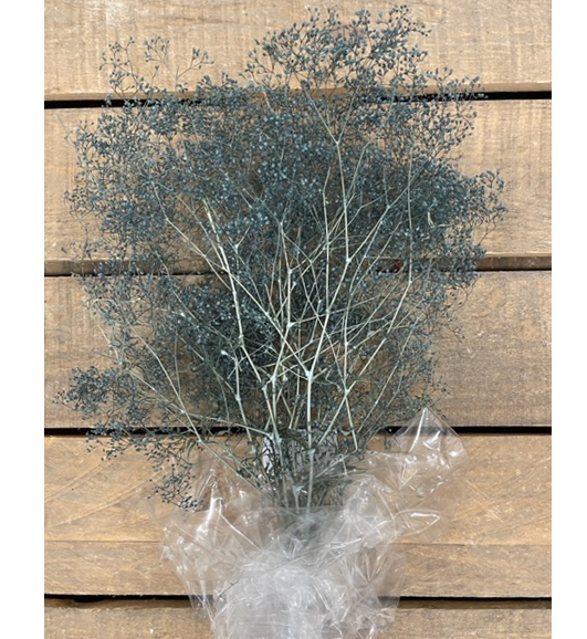 MINI GYPSOPHILA 50GR. NAVY