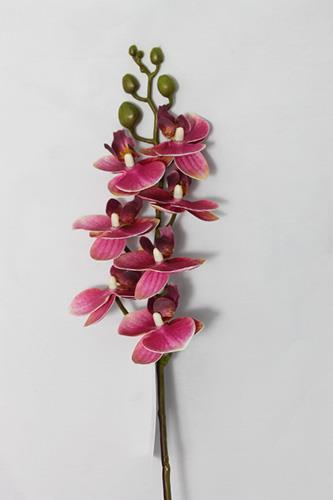PHALAENOPSIS MINI 7FIORI 65CM. 3PEZZI DK PINK