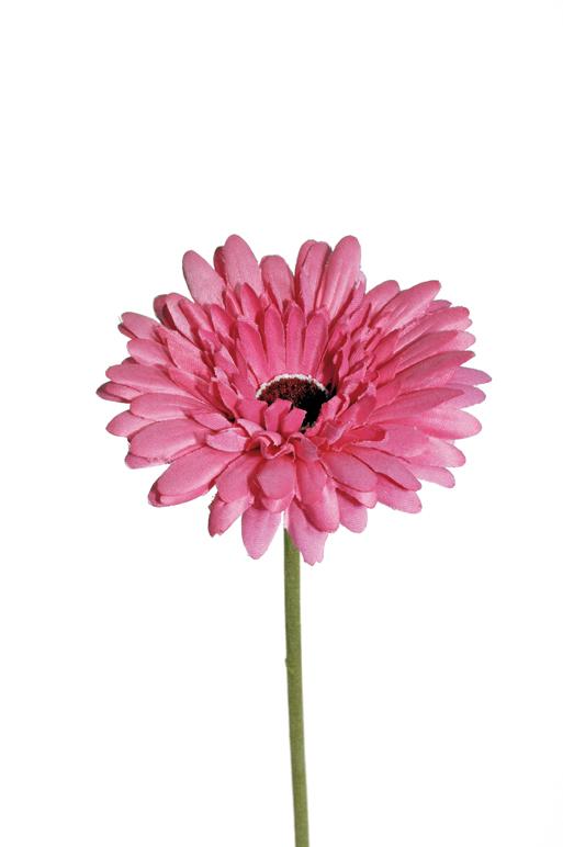 SATIN GERBERA SPRAY 53CM. FUCHSIA