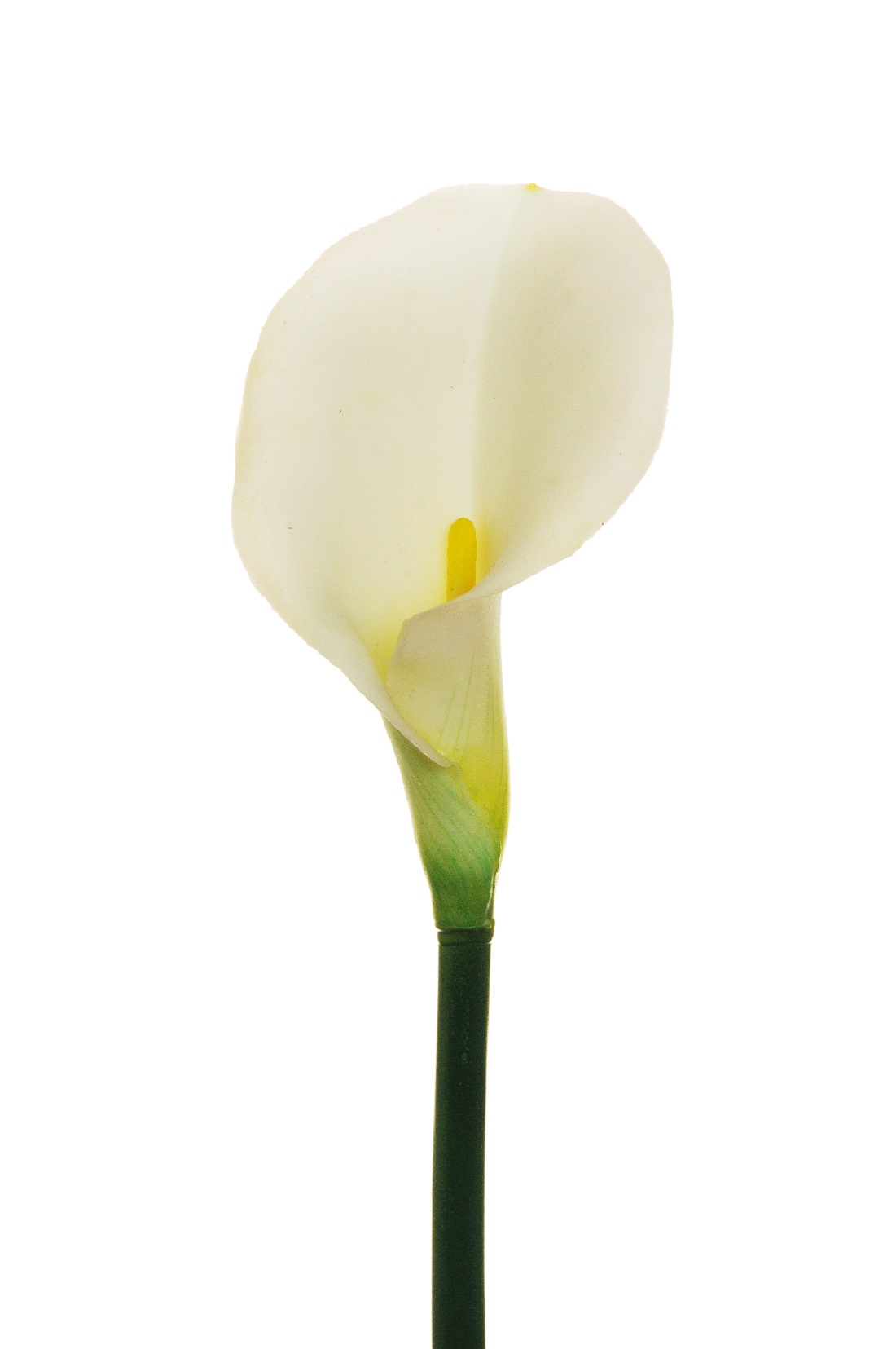 CALLA LILY RUBBER 3PEZZI 73CM. BIANCO