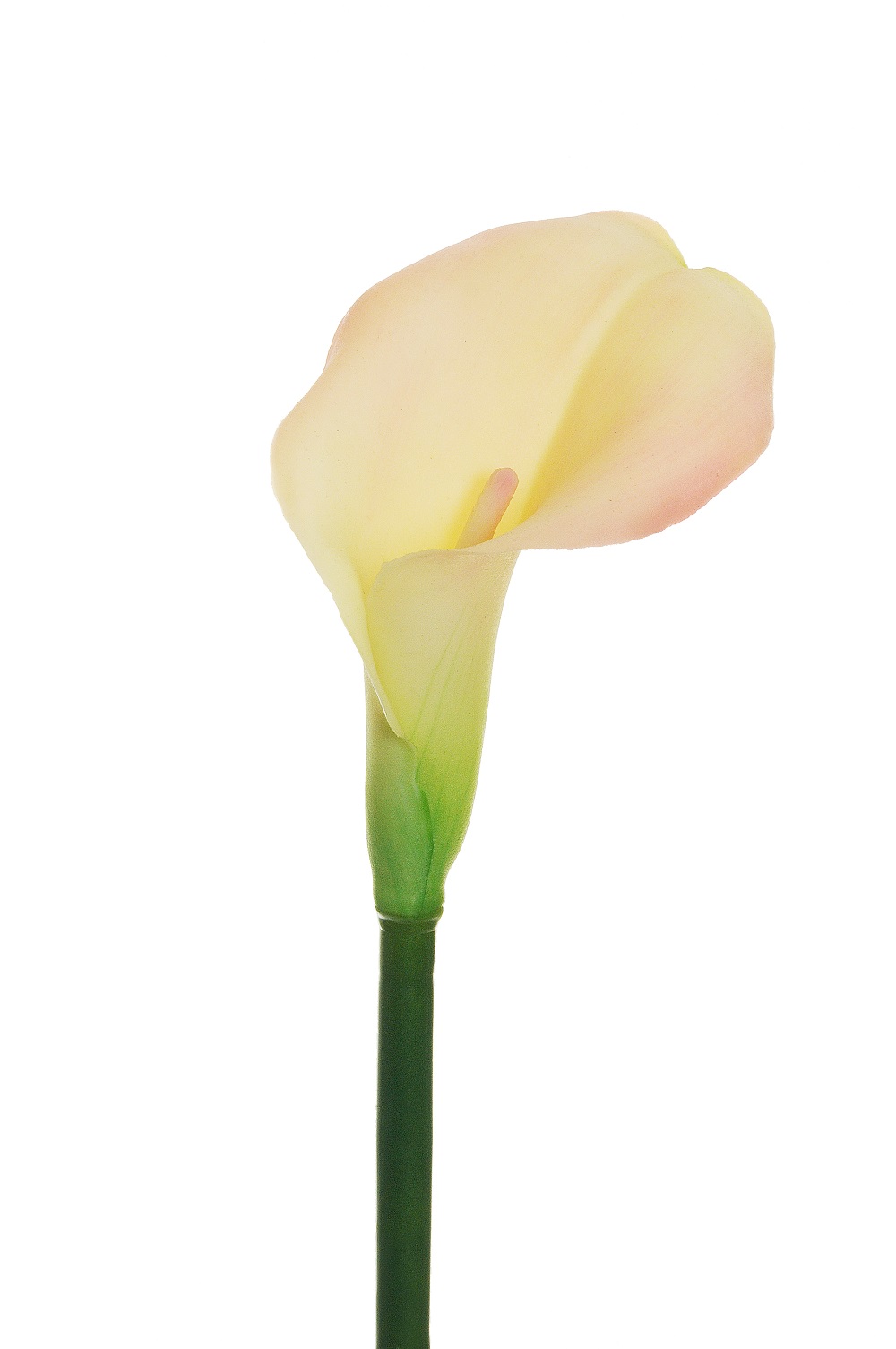 CALLA LILY RUBBER 3PEZZI 73CM. ROSA CH.
