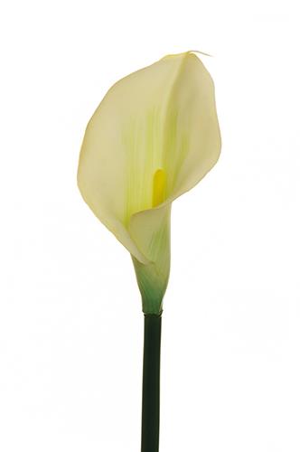 CALLA LILY RUBBER 3PEZZI 73CM. VERDE CH.