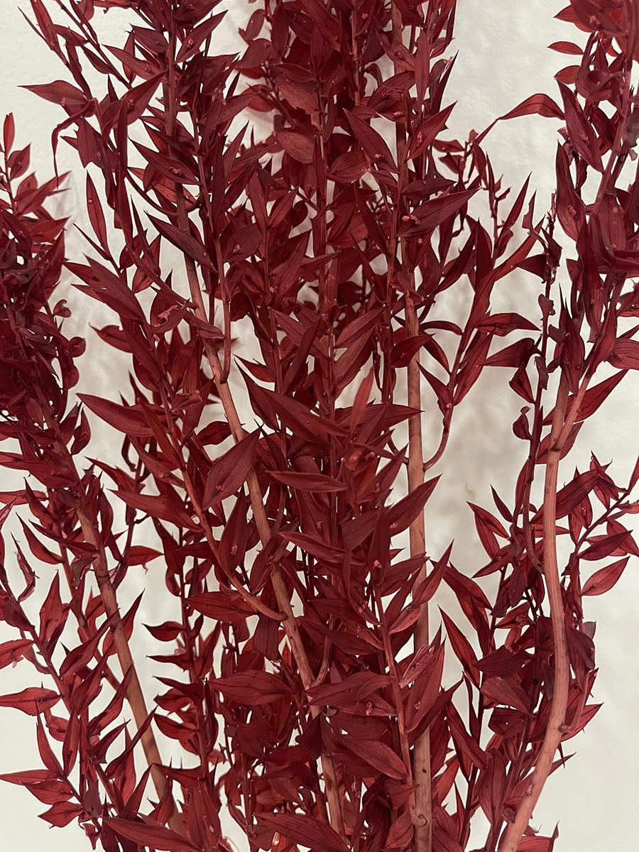 RUSCUS 150GR. 95CM. LAMPONE
