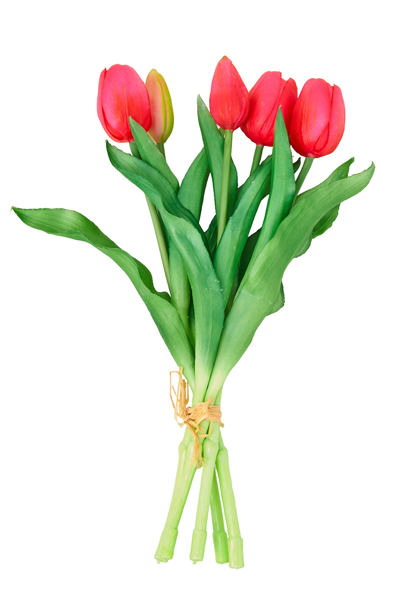 TULIPANI BUNDLE 5 STELI NAT.TOUCH 30,5CM. FUCHSIA