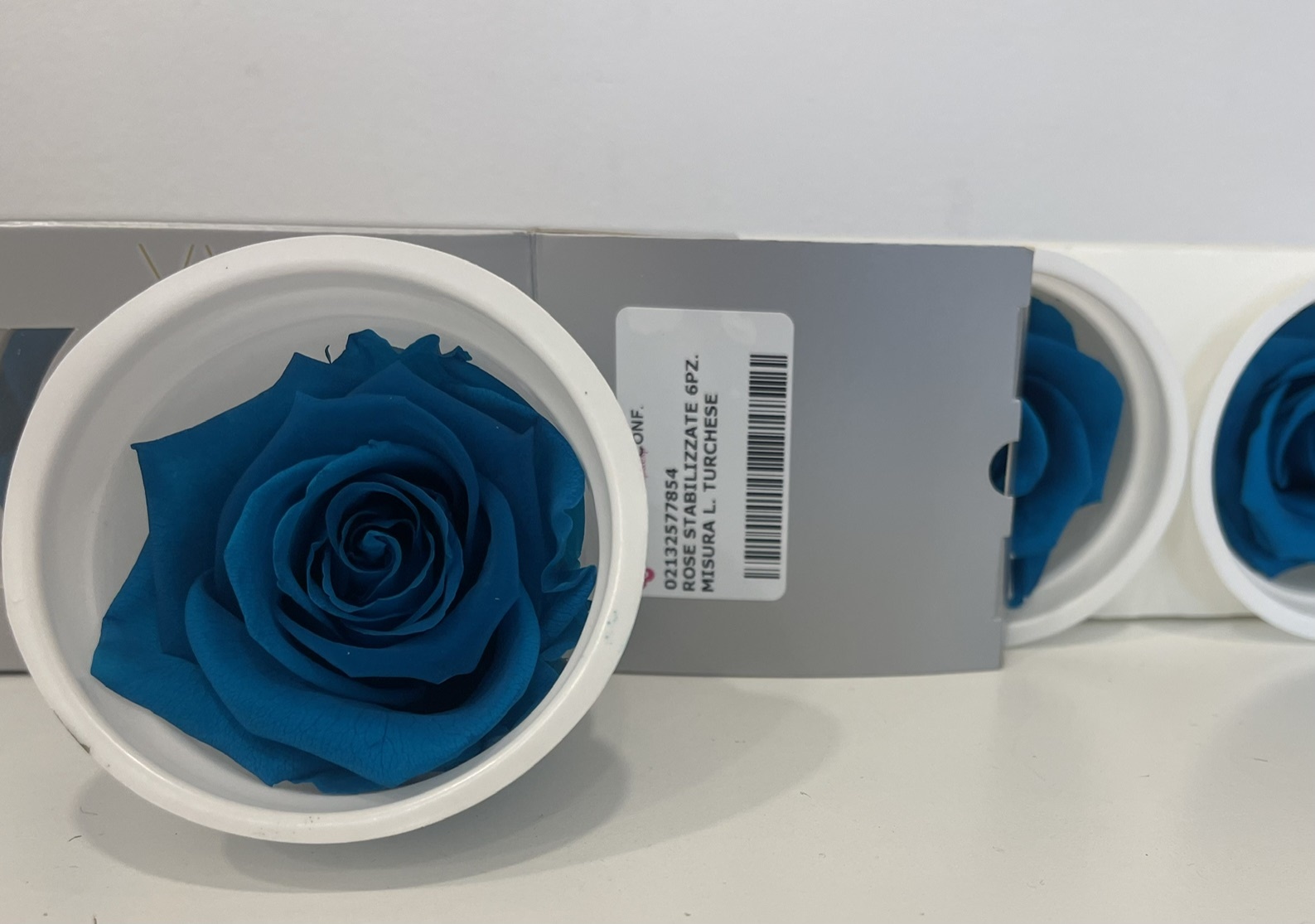 ROSE STABILIZZATE 6PZ. MISURA L. TURCHESE