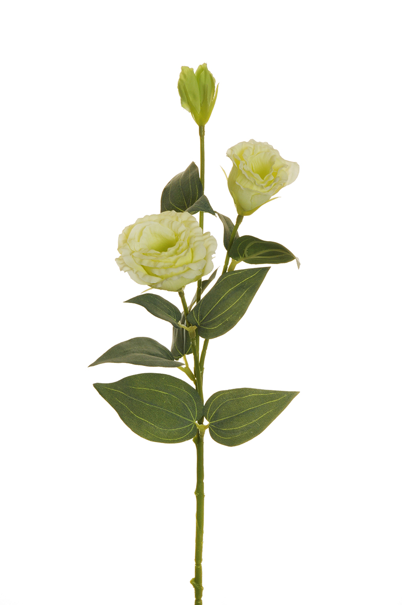 LISIANTUS SPRAY 3FIORI 71CM. 3PZ. LT GREEN