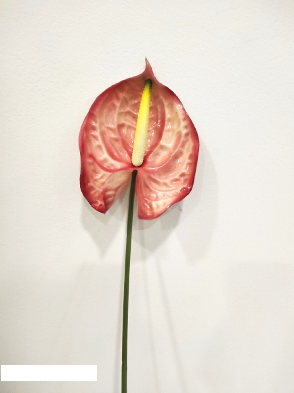 ANTHURIUM 70CM. 3PEZZI ROSA
