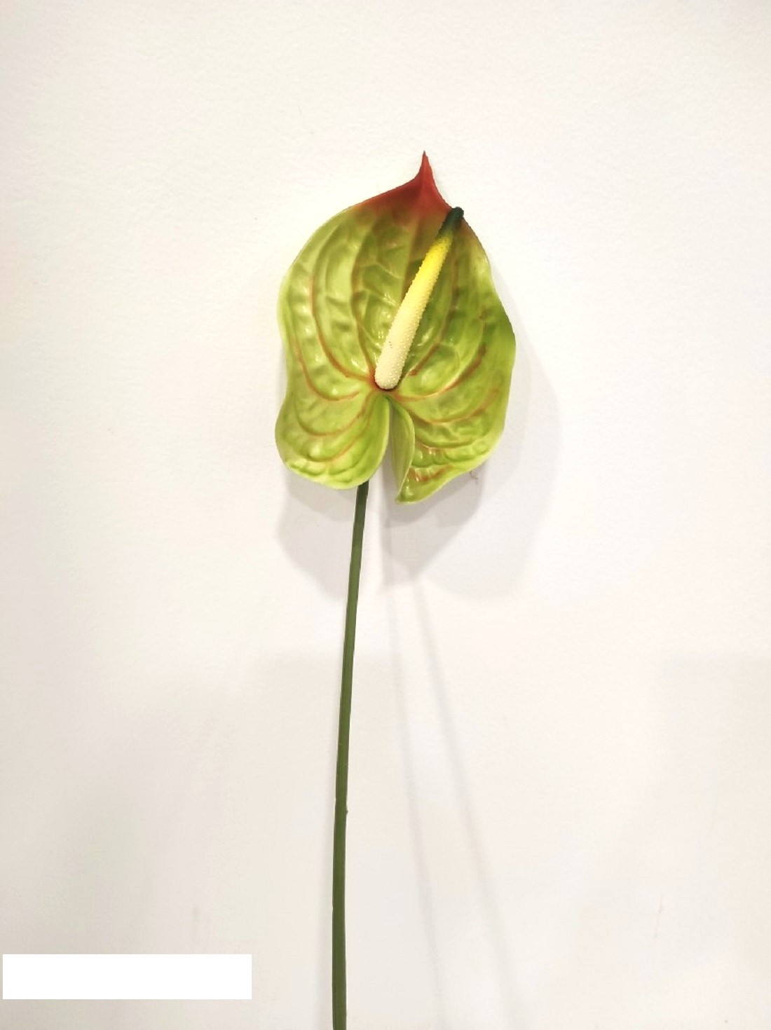 ANTHURIUM 70CM. 3PEZZI VERDE CH.