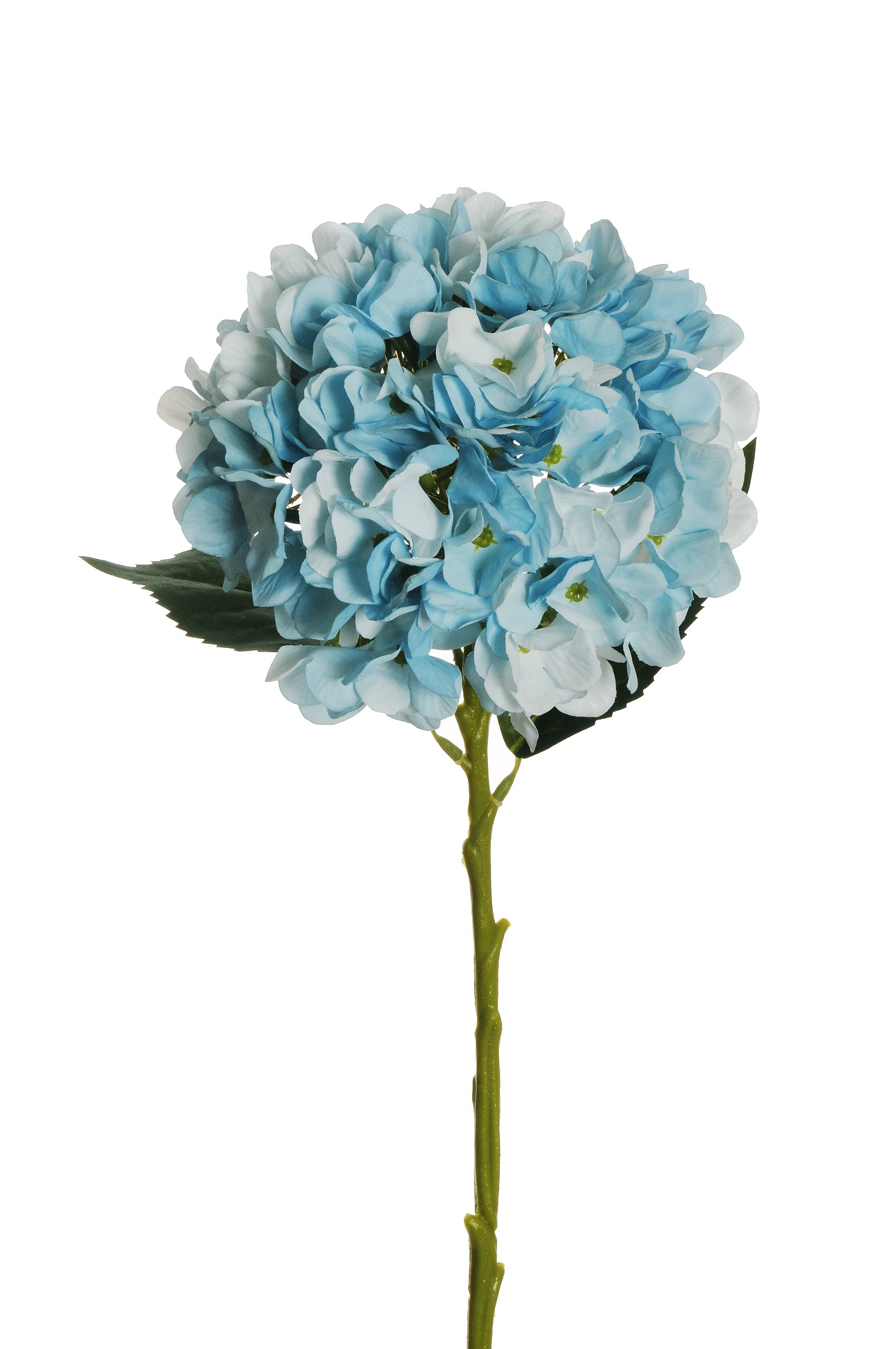 HYDRANGEA JULIET D18CM. L50CM. LT BLUE
