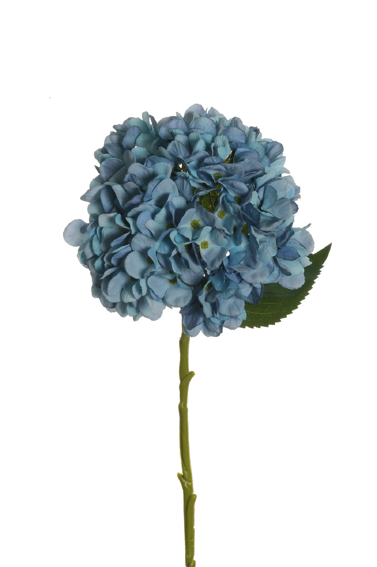 HYDRANGEA JULIET D18CM. L50CM. LT.BLUE