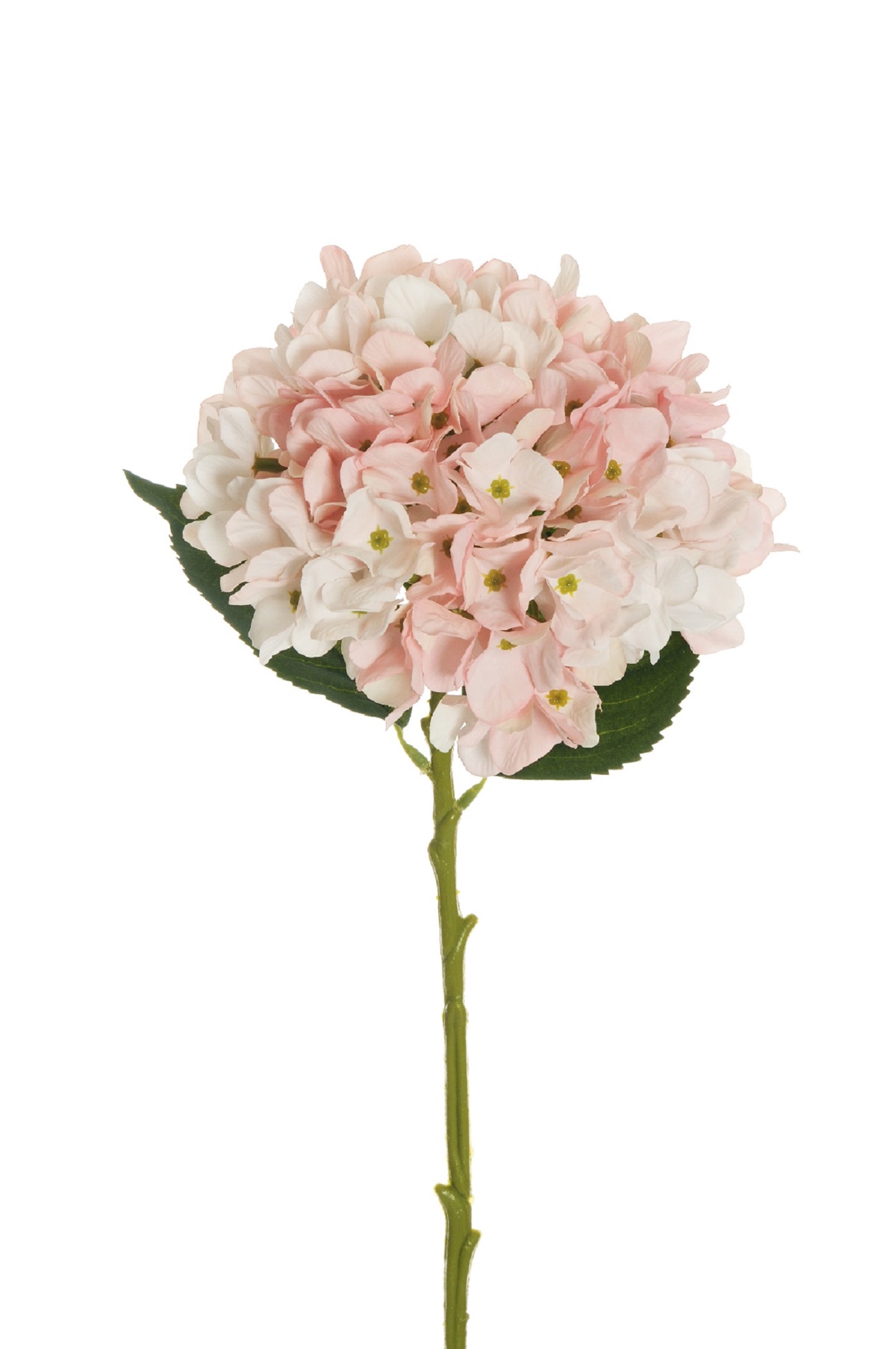 HYDRANGEA JULIET D18CM. L50CM. PINK WH