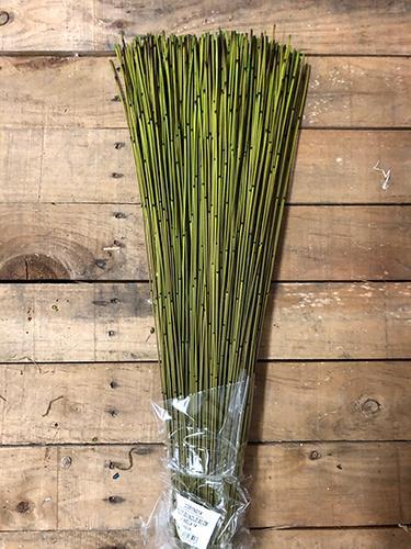 REED BUNDLE 80CM. 1KG. VERDE