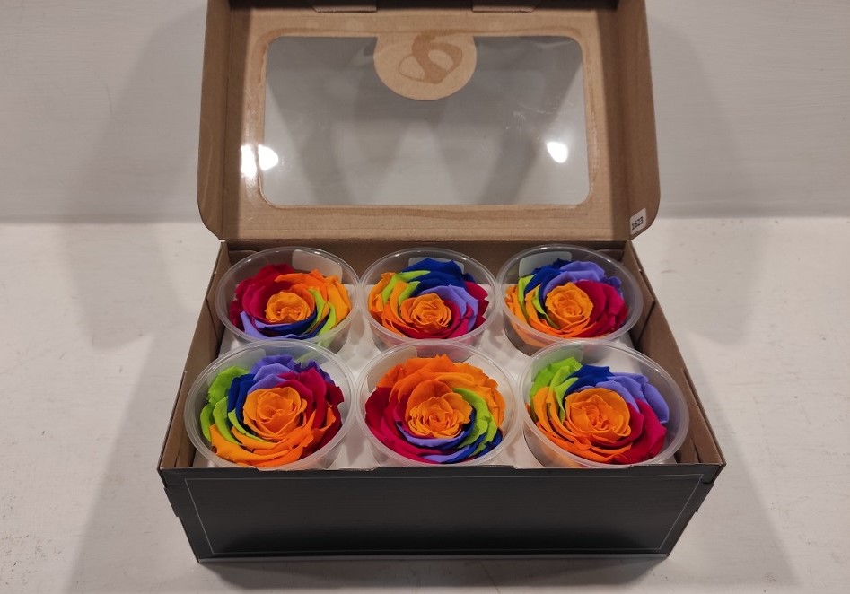 ROSE STAB.RAINBOW 6PZ. L YEL-04 ---NETTO-------