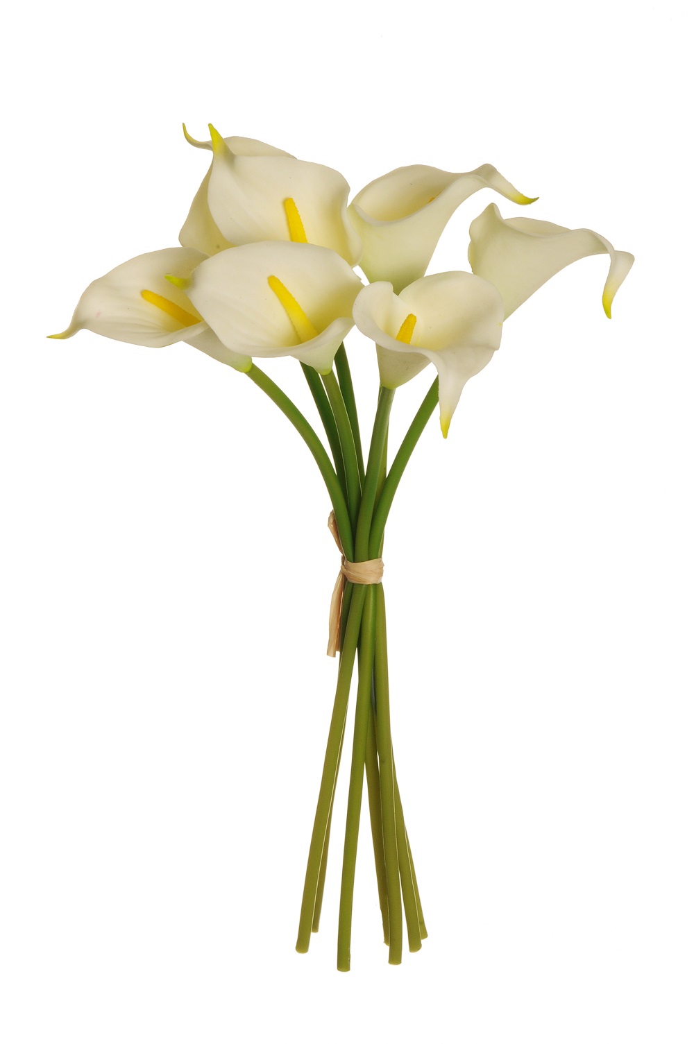 CALLA SMALL LILY W/RAF. 7PZ. 34CM. CREMA