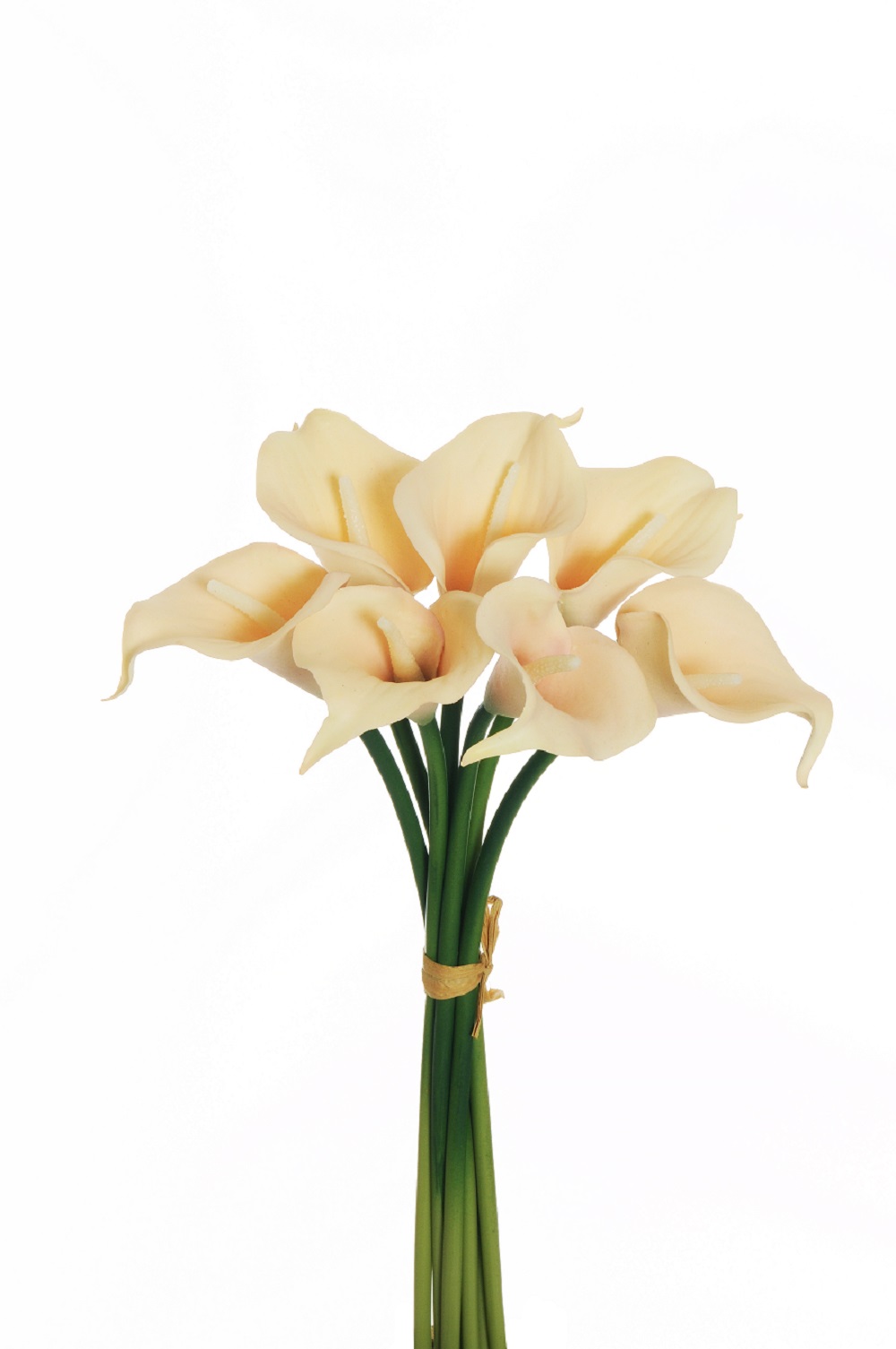 CALLA SMALL LILY W/RAF. 7PZ. 34CM. ECRU