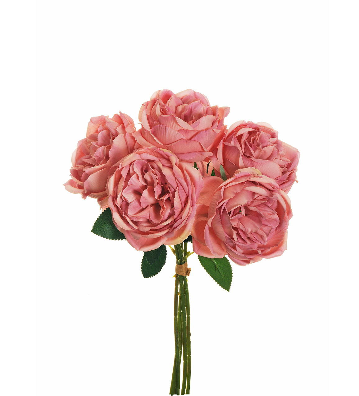 ROSE CABBAGE BUNDLE X5 38CM. MAUVE