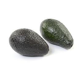 AVOCADO POLYR. D6X10CM. BLACK