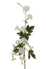 MORNING GLORY SPRAY 3PZ. 70CM.WH
