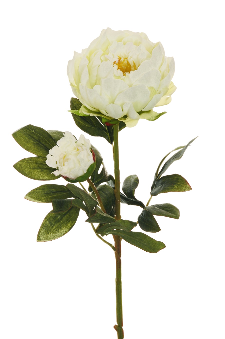PEONY SPRAY 1FLWR 1BOCC. 66CM. 3PEZZI BNC