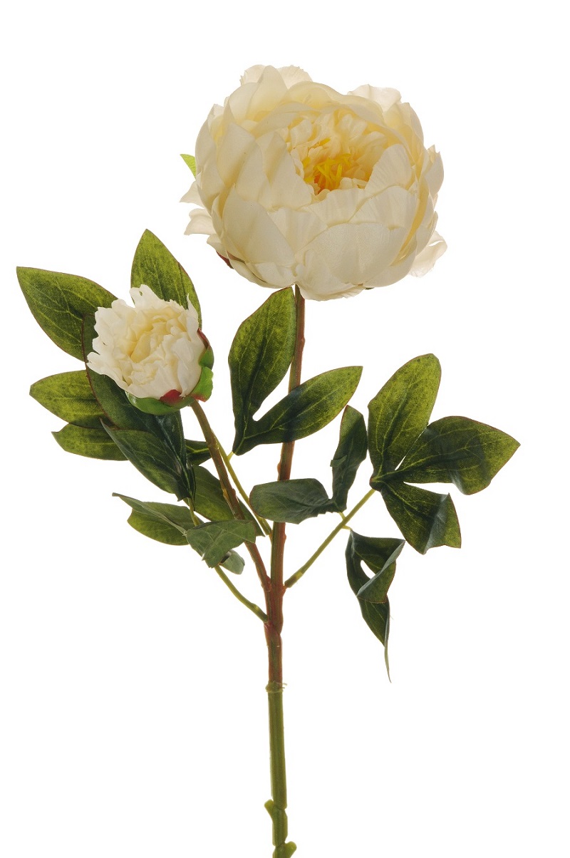 PEONY SPRAY 1FLWR 1BOCC. 66CM. 3PEZZI CRM