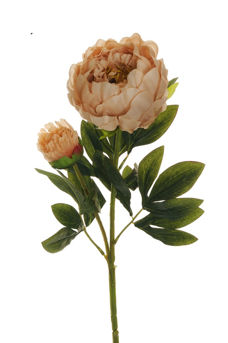PEONY SPRAY 1FLWR 1BOCC. 66CM. 3PEZZI ECRU