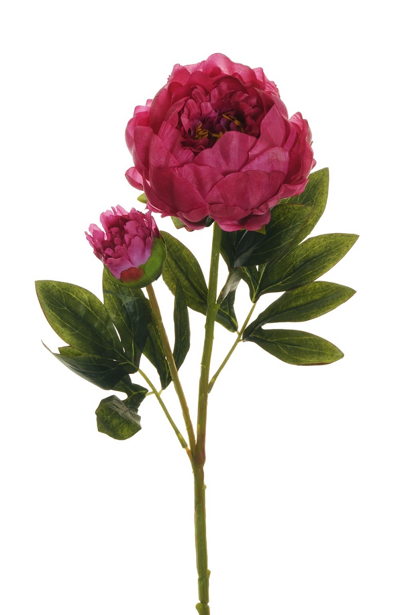 PEONY SPRAY 1FLWR 1BOCC. 66CM. 3PEZZI FUCSIA