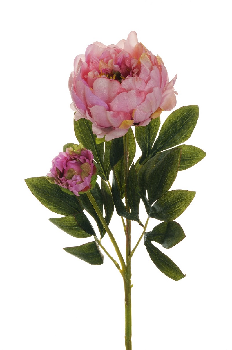 PEONY SPRAY 1FLWR 1BOCC. 66CM. 3PEZZI MAUVE