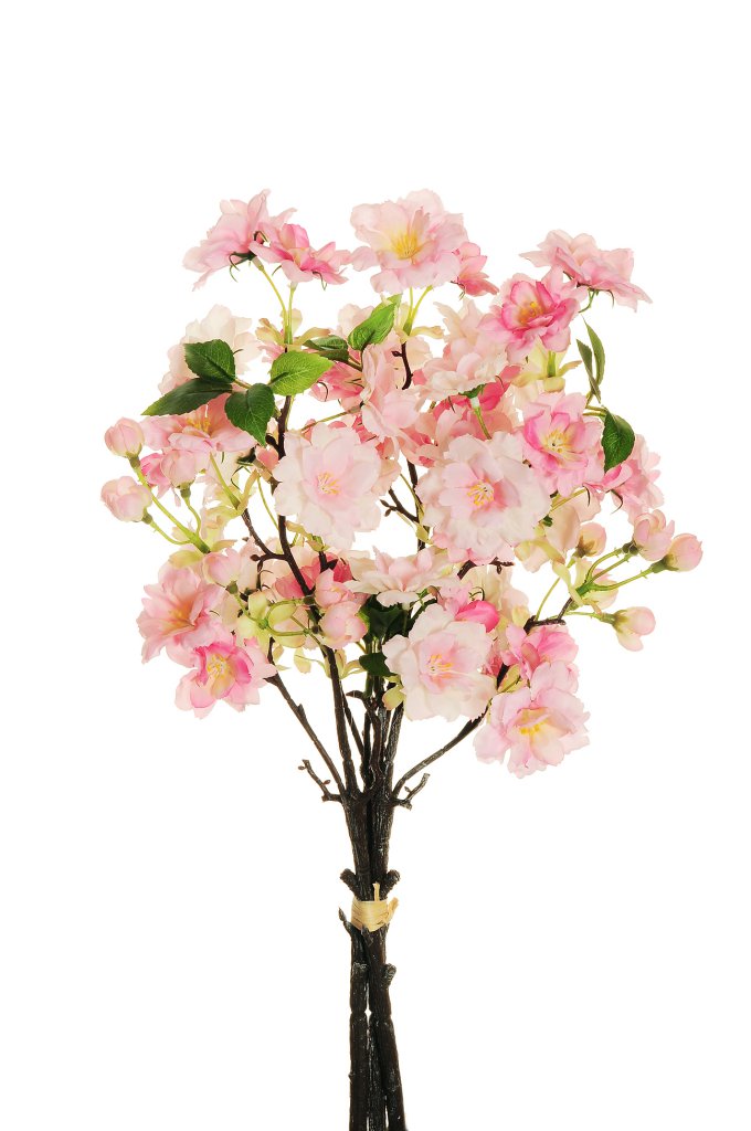 PEACH BLOSSOM BUNDLEX3 REAL TOUCH