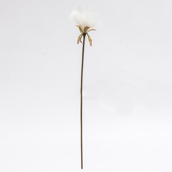 DANDELION SPRAY 6PZ. 51CM.CREAM