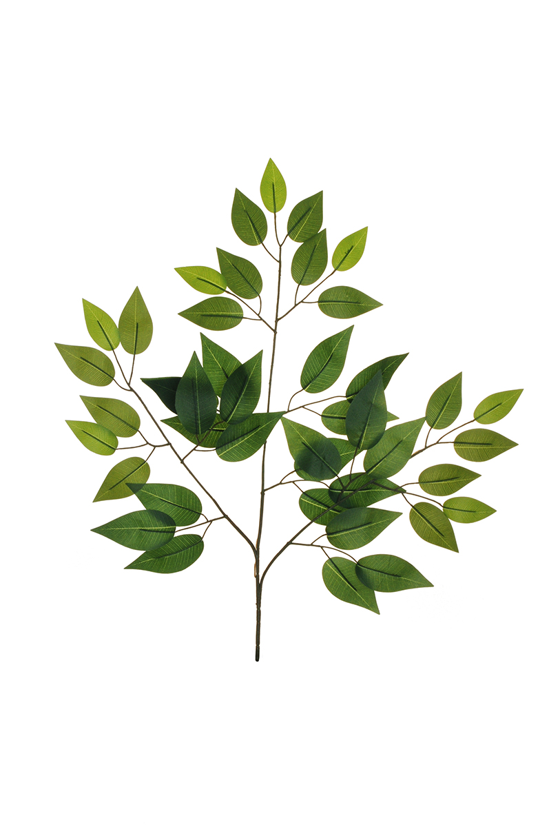 FICUS SPRAY X3 42FOGLIE 57CM. 12PZ. VERDE