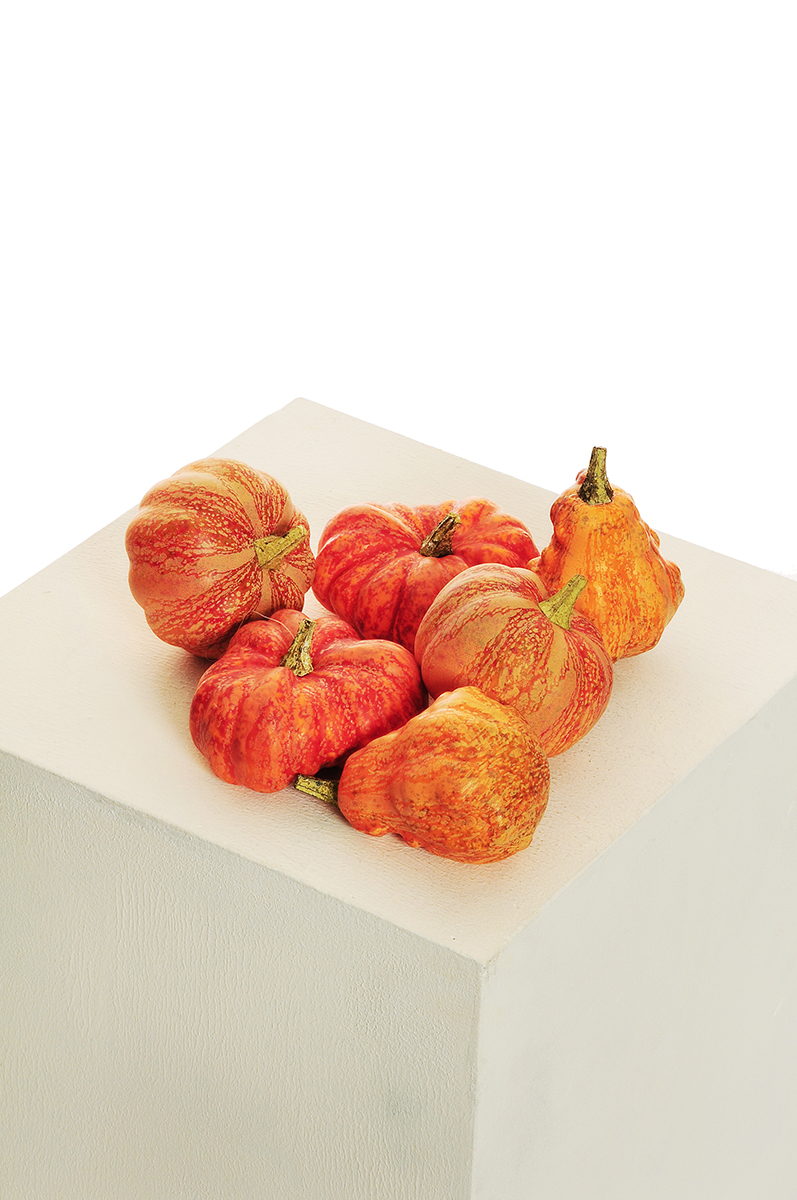 ZUCCHE STYROFOAM IN RETE D7-10CM. 6PZ. ASS.