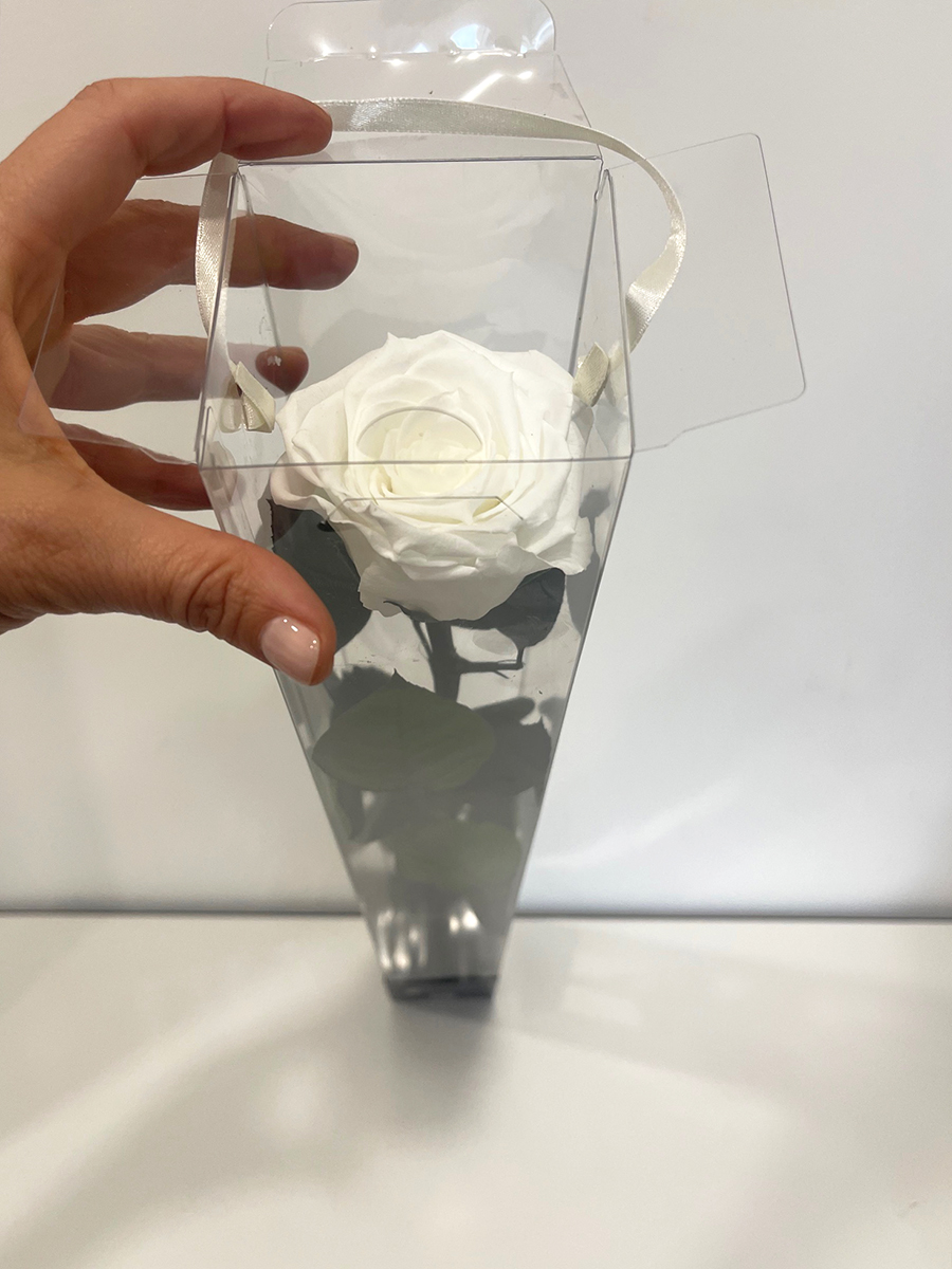 ROSA STAB. A STELO 60CM. DISPLAY WHI-01 ---NETTO-------