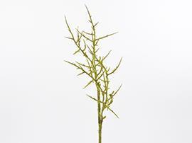 RAMO CON SPINE 76CM. VERDE