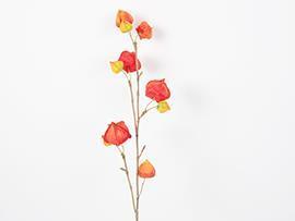 RAMO PHYSALIS 76CM. ARANCIO