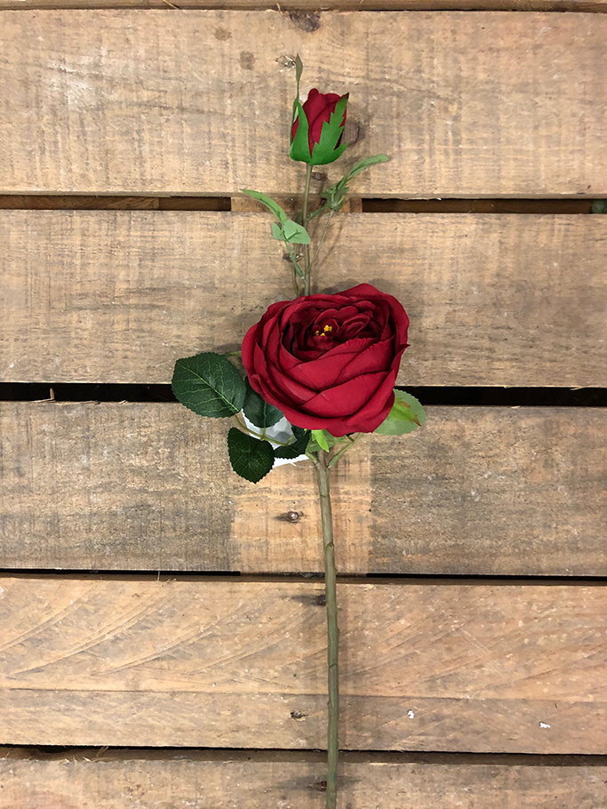 AUSTIN ROSE 60CM. 3PEZZI ROSSO