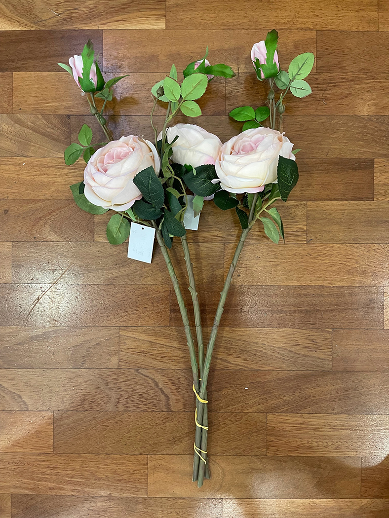 AUSTIN ROSE 60CM. 3PEZZI CRM/PNK