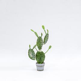 PIANTA CACTUS C/VASO H76CM. VERDE