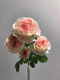 RANUNCULUS LONG STEM H70CM. 3PEZZI PINK