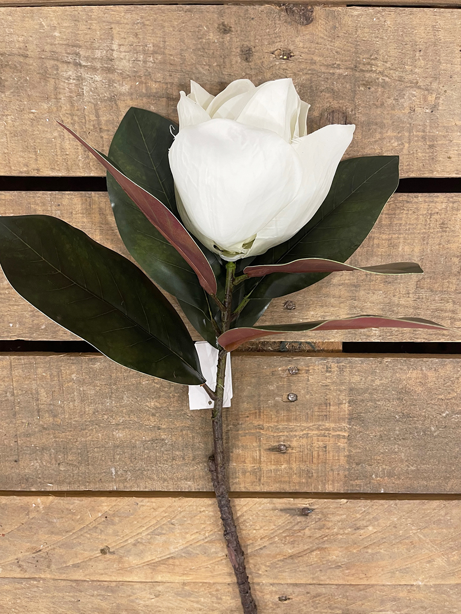 MAGNOLIA FRESH LOOK 70CM. BIANCO