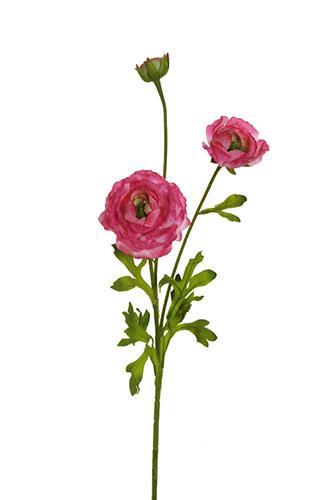 RANUNCOLO SPRAYX3  3PZ H.69CM FUCHSIA