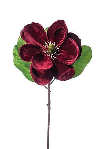 MAGNOLIA DELUXE VELVET 62CM. BORDO'