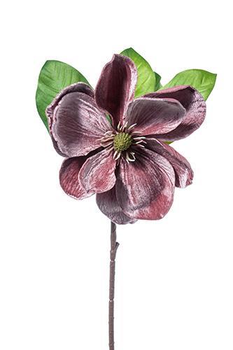 MAGNOLIA DELUXE VELVET 62CM. MAUVE