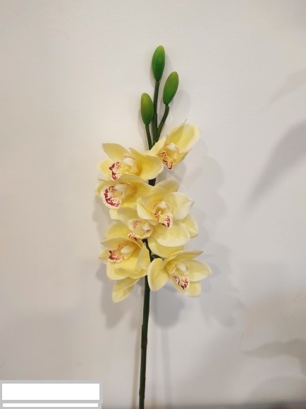 CYMBIDIUM 8FIORI E 3BOCCIOLI 77CM. GIALLO CH.