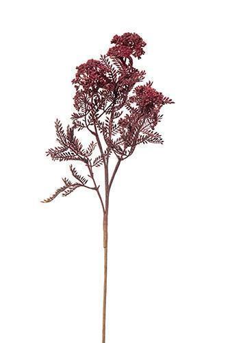 ALLIUM FLOCCATO 69CM. BORDO'