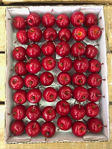 MELA C/PICK D3,5CM. 48PZ. ROSSO IN BOX