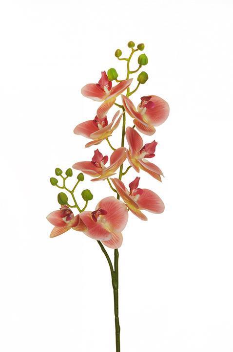 PHALAEN.REAL TOUCH SPRAY X2 80CM. ANT/ CORAL
