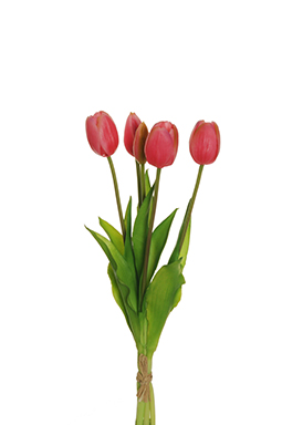 TULIP RUBBER BUNDLE X5 39CM. FUCHSIA