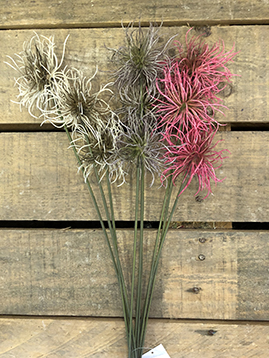 XANTHIUM SPRAY X3 65CM. 3PZ.ASS.